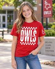 Load image into Gallery viewer, WISH Checkered Spirit Owl